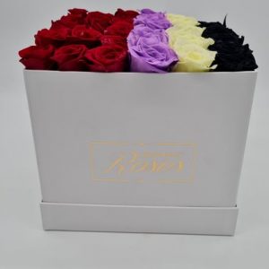 Roter und bunter Blumenkasten