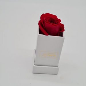 Rote Rose in einer box